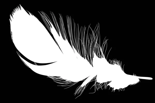 宽而孤立的短羽毛白色轮廓 — 图库矢量图片