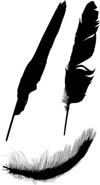 Grupp av tre svarta isolerade fjädrar silhuetter — Stock vektor