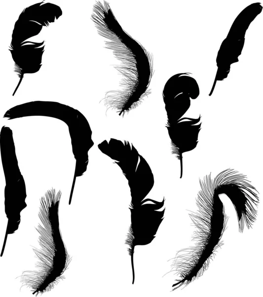 Dokuz siyah bukleli tüy siluetinden oluşan grup