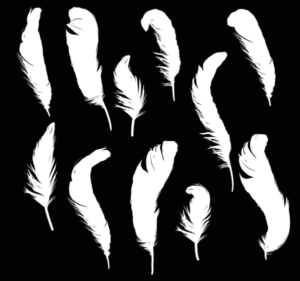 Группа из одиннадцати белых изолированных скрученных перьев силуэтов — стоковый вектор