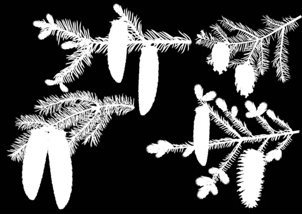 Четыре изолированных белых еловых ветви с шишками — стоковый вектор