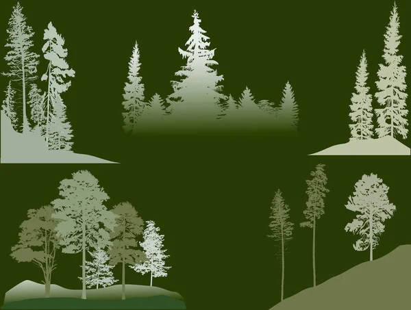 Conjunto de pinos verdes y abetos sobre fondo oscuro — Vector de stock