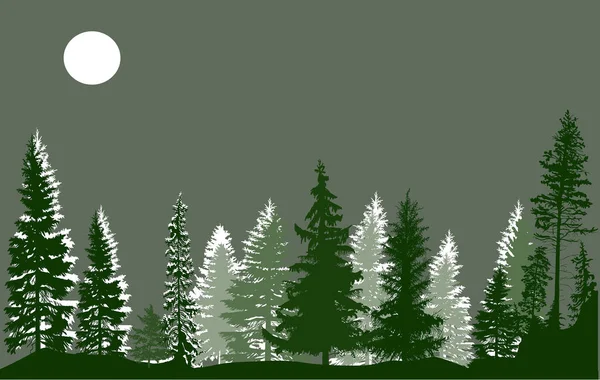 Ayın altındaki yeşil köknar ağaçları — Stok Vektör