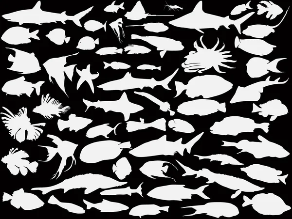 Las siluetas blancas componen un gran conjunto de peces marinos — Vector de stock