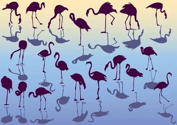 Nineteen flamingo silhouettes illustration — Stock Vector