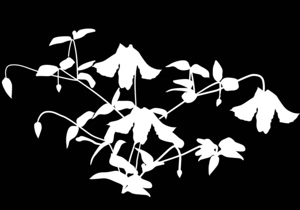 Gartenblume weiße Silhouette auf schwarz — Stockvektor