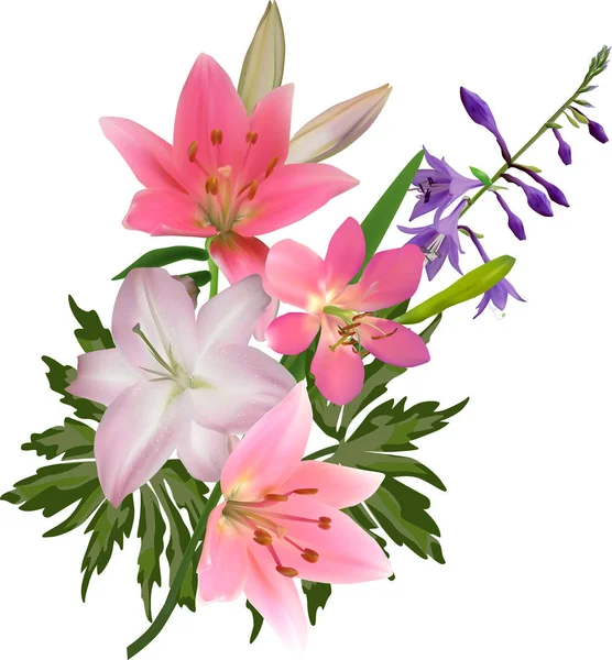 Isolerad på vit ljusrosa lilja gäng — Stock vektor