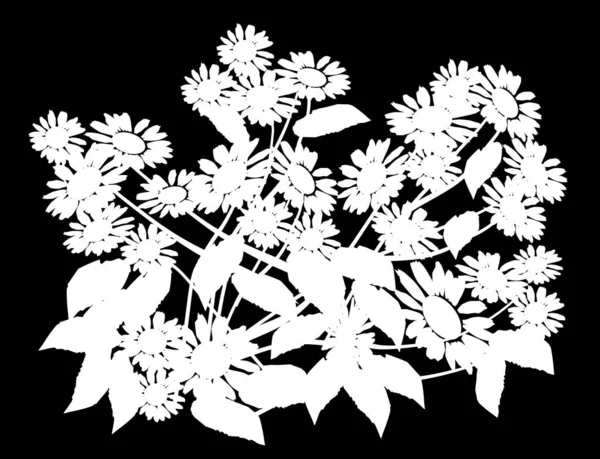 Faisceau de fleurs blanches silhouette isolée sur noir — Image vectorielle