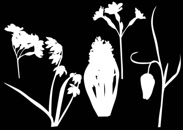 Набор из пяти силуэтов садовых цветов на черном — стоковый вектор