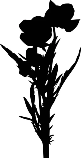 Planta negra aislada del jardín con flores — Archivo Imágenes Vectoriales