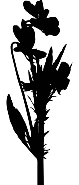 Planta de jardín aislada negra con flores — Vector de stock