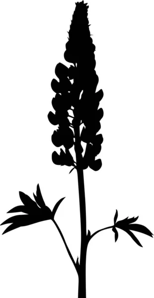 Lupine flower silhouette isolated on white — Stock Vector