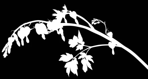 작은 꽃이 달린 고립된 흰 식물 — 스톡 벡터