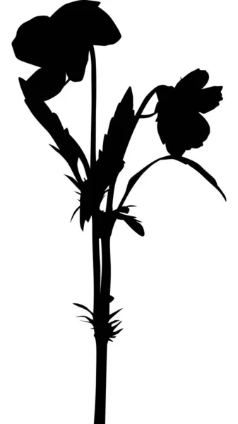 Siyah çiçekli, ıssız bir bahçe. — Stok Vektör