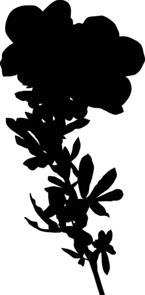 Silhouette de fleurs noires avec grandes fleurs blanches — Image vectorielle