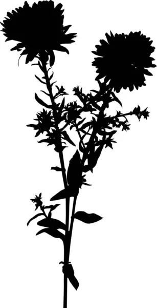 Gartenblume mit kleinen schwarzen Blättern — Stockvektor