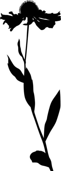 Jardín de flores negras silueta ilustración — Archivo Imágenes Vectoriales
