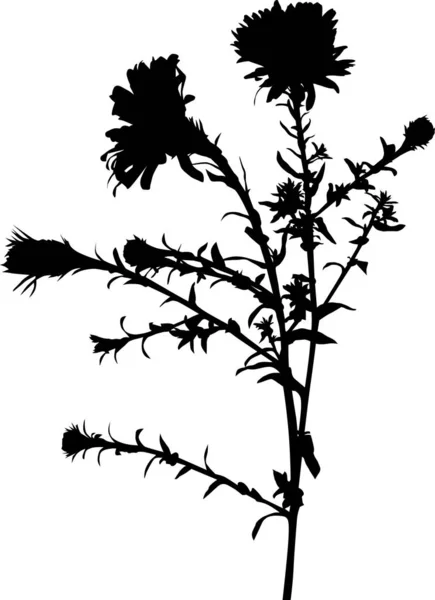 작은 검은 잎이 달린 고립 된 꽃 — 스톡 벡터