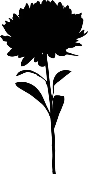 Große Aster-Silhouette auf Weiß — Stockvektor