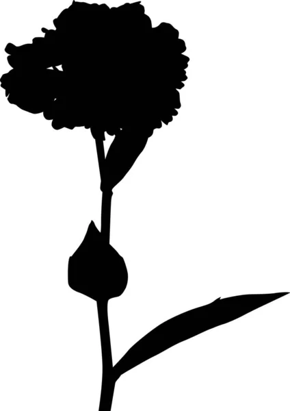 Siyah çiçekli siluet beyaz üzerinde büyük bir çiçek açar. — Stok Vektör