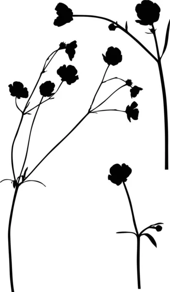 Beyaz üzerine siyah üç düğün çiçeği. — Stok Vektör