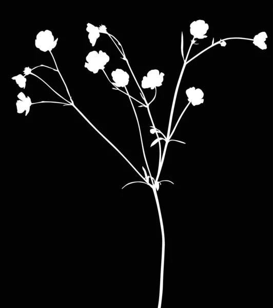 Άγριο λευκό απομονωμένο νεραγκούλα σε μαύρο — Διανυσματικό Αρχείο