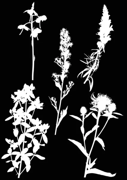 Siyah üzerine beş beyaz çiçek silueti