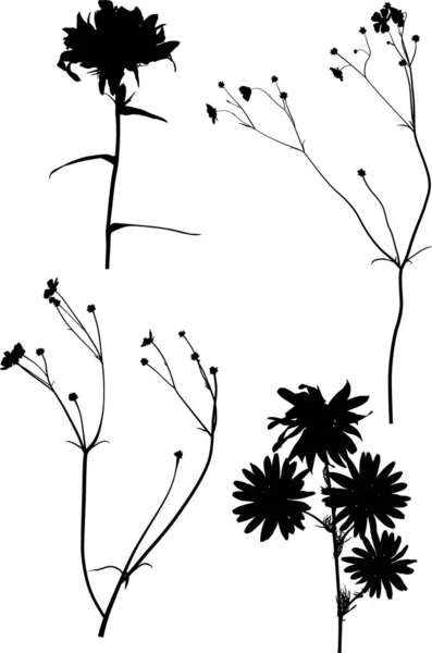Four wild flowers silhouettes on white — Stock Vector