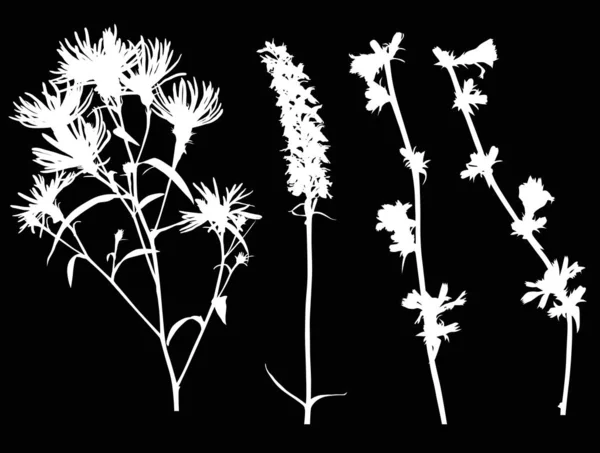 Vier witte wilde bloemen silhouetten op zwart — Stockvector