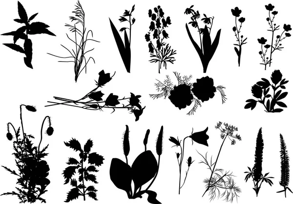 Siebzehn Wiesenwildblumen schwarze Silhouetten — Stockvektor