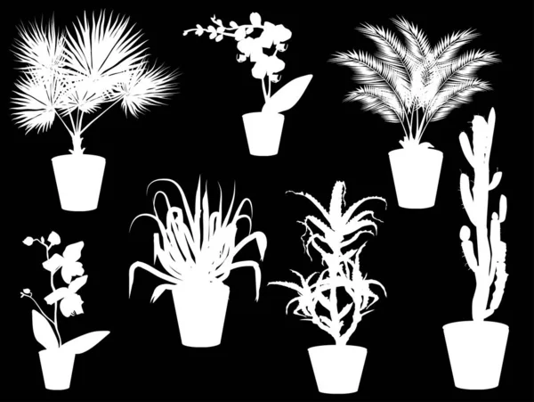 Set of seven plants in pots silhouettes on black — Stock Vector