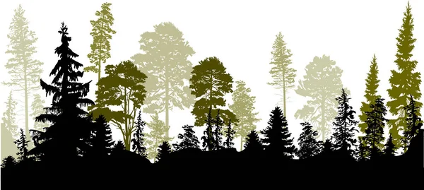 Scuro panorama bosco di conifere su bianco — Vettoriale Stock