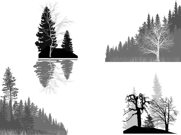 Four grey forest compositions isolated on white — Stock Vector