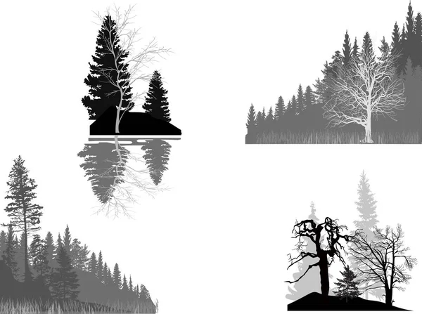 Cuatro composiciones forestales grises aisladas sobre blanco — Vector de stock