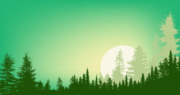Bosques verdes y una gran ilustración solar — Vector de stock
