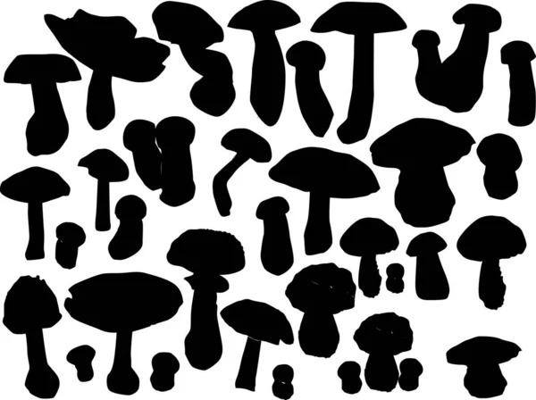 Black mushrooms large group on white — Stock Vector