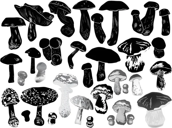 Black mushrooms sketches large collection on white — Stock Vector