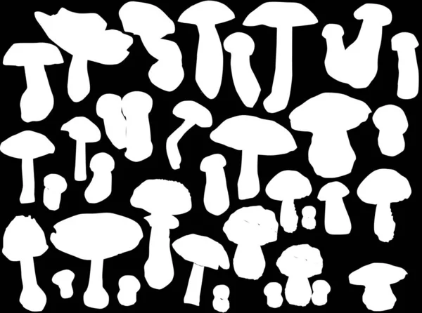 Cogumelos brancos grande grupo em preto — Vetor de Stock