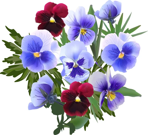 Blumenstrauß im Garten violette Blumen isoliert auf weißem Grund — Stockvektor