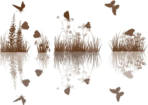 Brown plants and butterflies isolated on white — Stock Vector