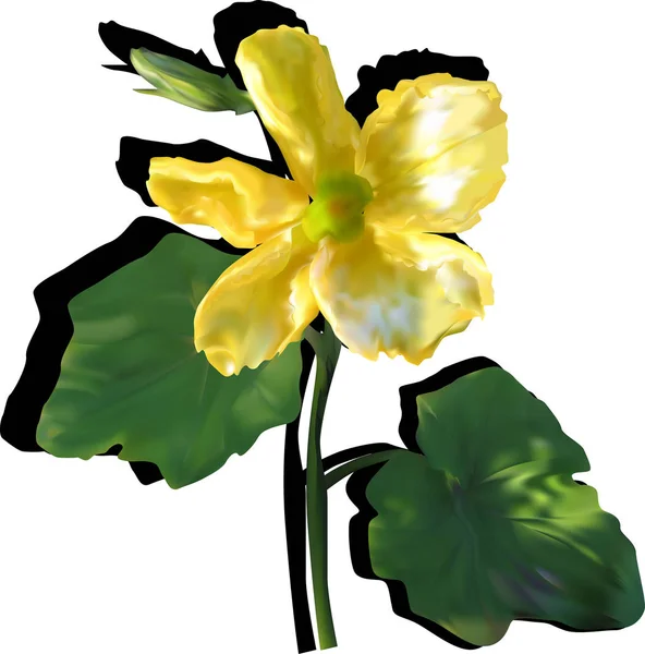Jardin fleur jaune avec ombre noire — Image vectorielle