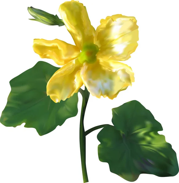 Garten gelbe Blume isolierte Illustration — Stockvektor
