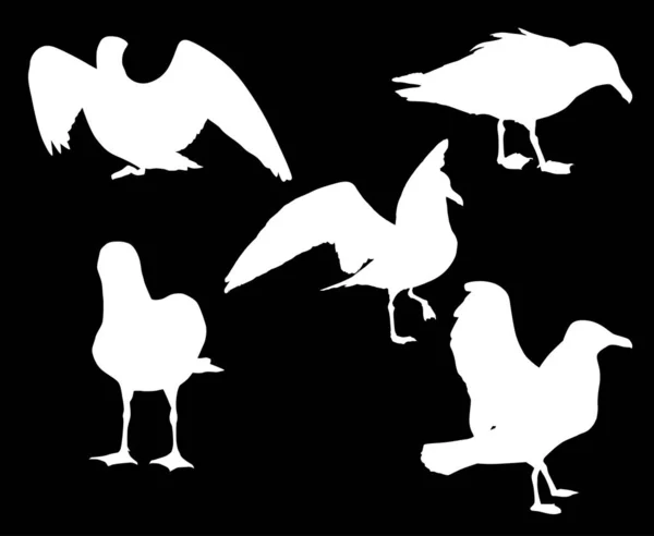 Ensemble de cinq silhouettes isolées blanc mouette — Image vectorielle