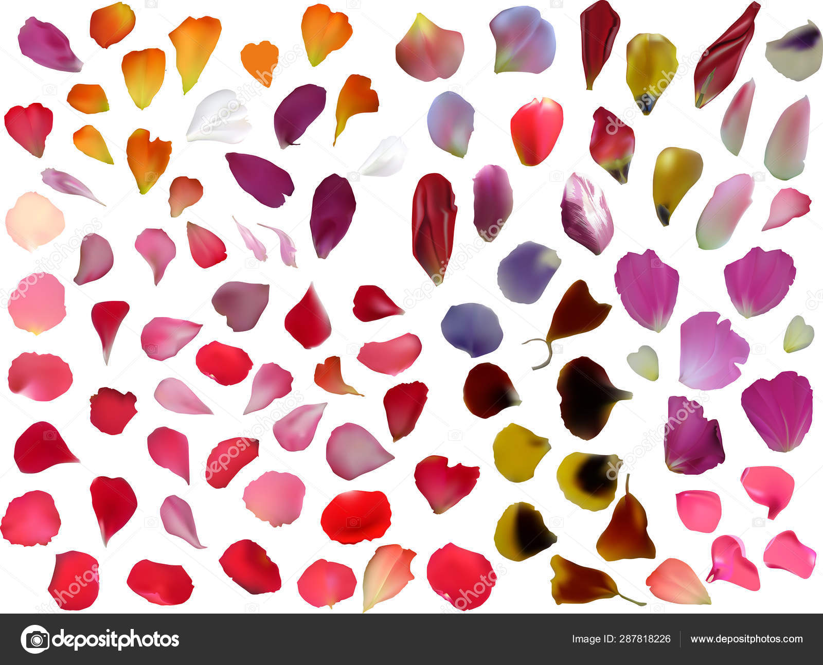 Group of petals sale