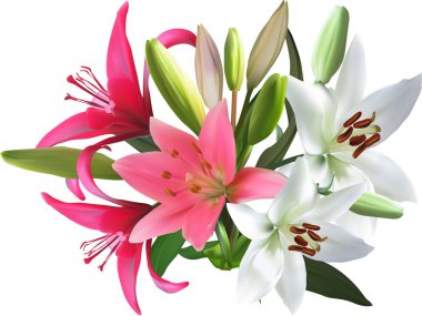 pembe ve beyaz yapayalnız zambak demeti