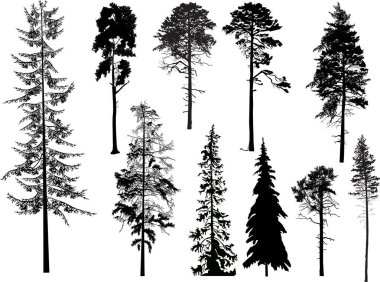 Beyaz üzerine on siyah ağaç dizilmiş.