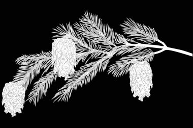 üç koni resimli çam ağacı beyaz dalı