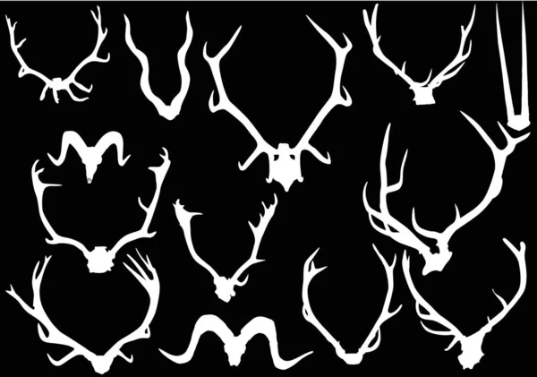收集十三只白鹿角 — 图库矢量图片