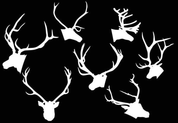 Conjunto de siete cabezas de ciervo blanco en negro — Vector de stock