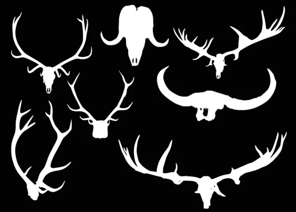 Set of antler and horns isolated on black — Stock Vector